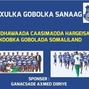 Meet your Posher, Ayan